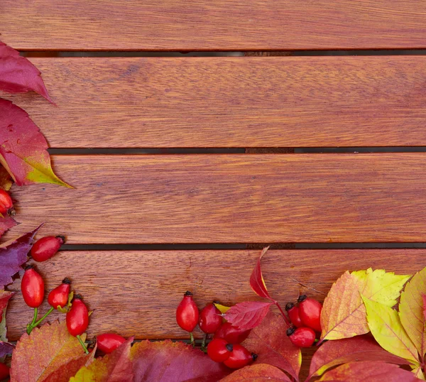Herbstblätter über hölzernem Untergrund — Stockfoto