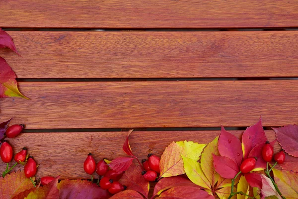 Autumn leaves over wooden background with copy space — Stock Photo, Image
