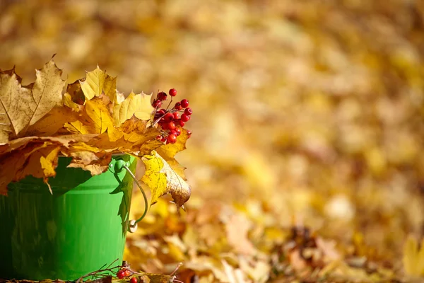 Herfst achtergrond — Stockfoto