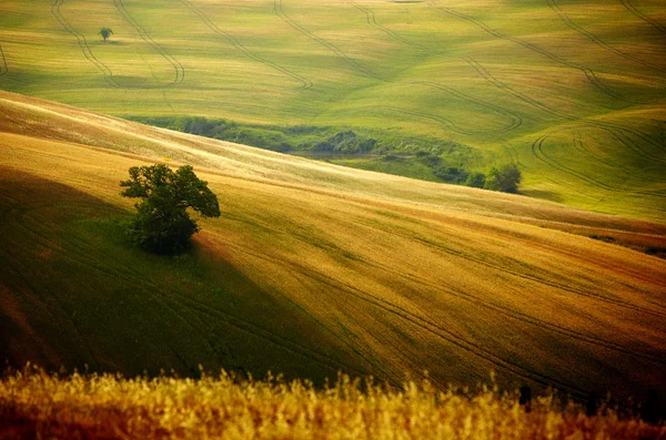 Vista da paisagem típica da Toscana — Fotografia de Stock