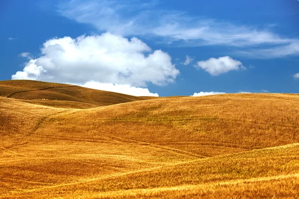 Сценічний вид на типовий пейзаж Тоскани. — стокове фото