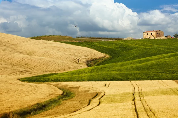 Szenischer Blick auf die typische Landschaft der Toskana — Stockfoto
