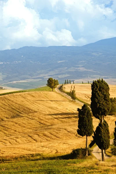 Platteland landschap in de regio Toscane Italië — Stockfoto