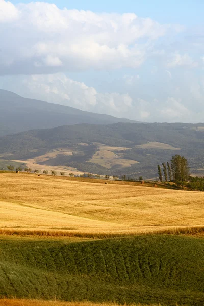 Paisaje rural en la región de Toscana de Italia — Foto de Stock