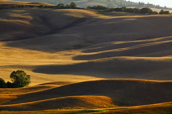 Paisagem na Toscana ao pôr do sol no verão — Fotografia de Stock