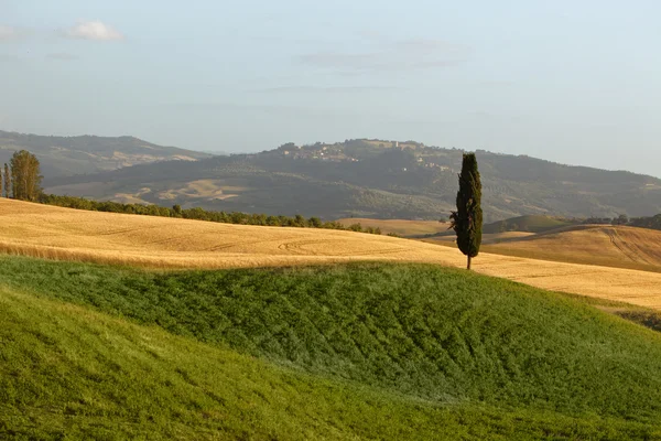 Paesaggio di campagna in Toscana regione Italia — Foto Stock