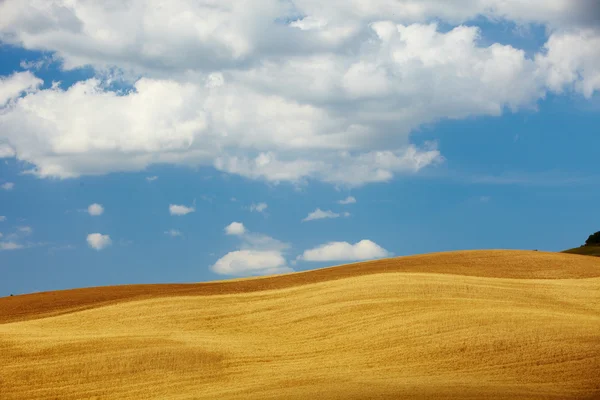 Heuvels van Toscane — Stockfoto
