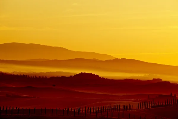 Paisagem na Toscana ao pôr do sol no verão — Fotografia de Stock