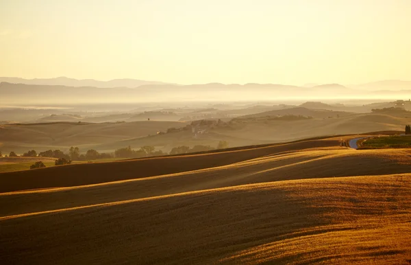 Paisagem na Toscana ao pôr do sol no verão — Fotografia de Stock