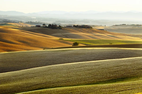 Paysage rural en Toscane région de l'Italie — Photo