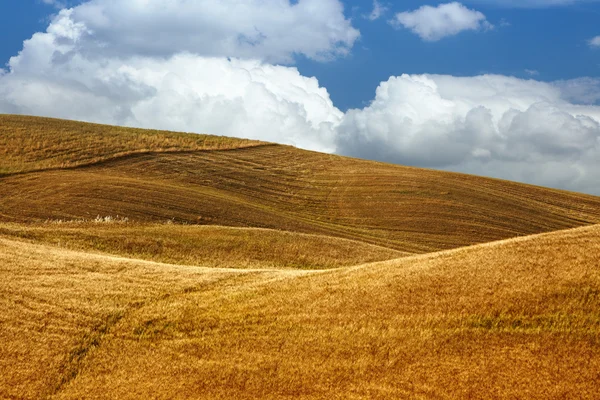 Vista panorâmica da paisagem típica da Toscana — Fotografia de Stock