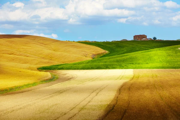 Tuscany hills Stock Image