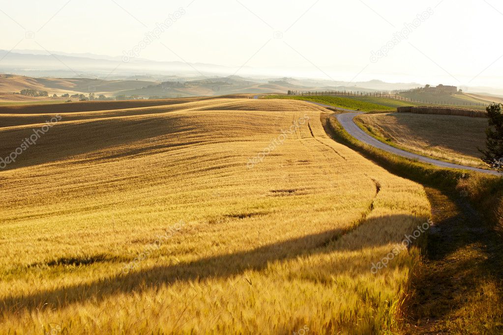 Countryside landscape in Tuscany region of Italy