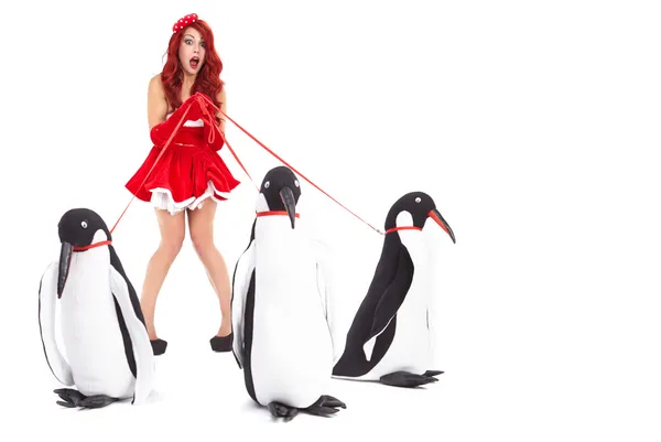 Модна жінка з пінгвіном — стокове фото