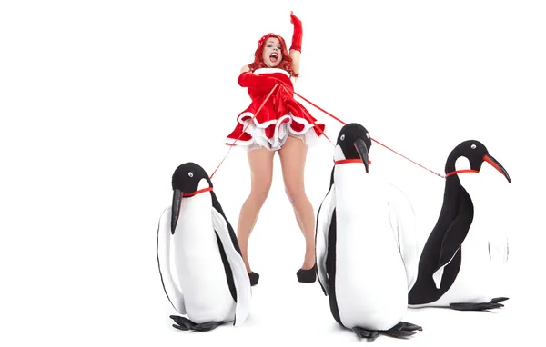 Mode kvinna med pingvin — Stockfoto