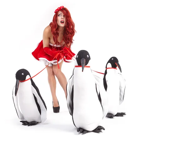 Modefrau mit Pinguin — Stockfoto