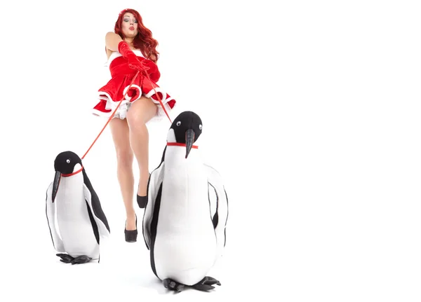 Modefrau mit Pinguin — Stockfoto