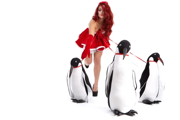 Navidad Chica en vestido sosteniendo un gran pingüino de juguete. Disparo en stu — Foto de Stock