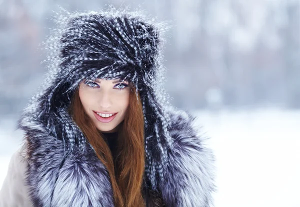 Girl on the winter background Stock Image