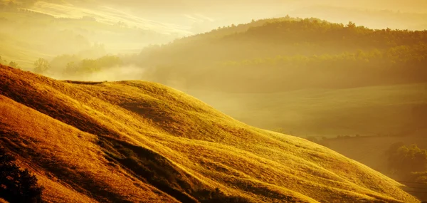 Hügel der Toskana — Stockfoto