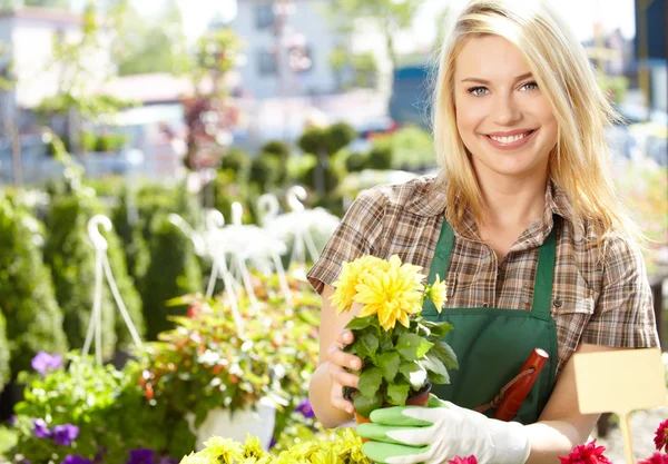 Floristas mujer — Foto de Stock