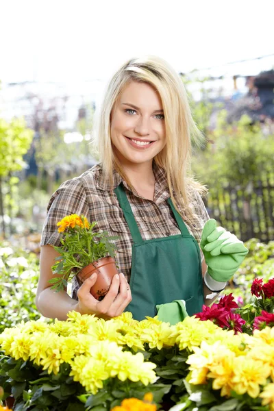 Floristas mulher — Fotografia de Stock