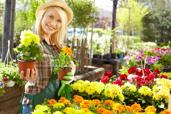 Floristas mulher — Fotografia de Stock