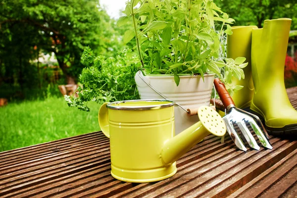 Strumenti di giardinaggio — Foto Stock