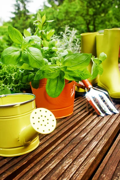Gardening tools Royalty Free Stock Images
