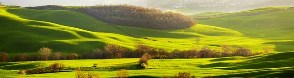 Pittoreske landschap van Toscane — Stockfoto