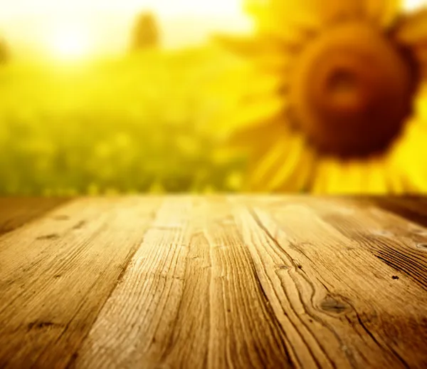 Tuscany sunflowers background — Stock Photo, Image