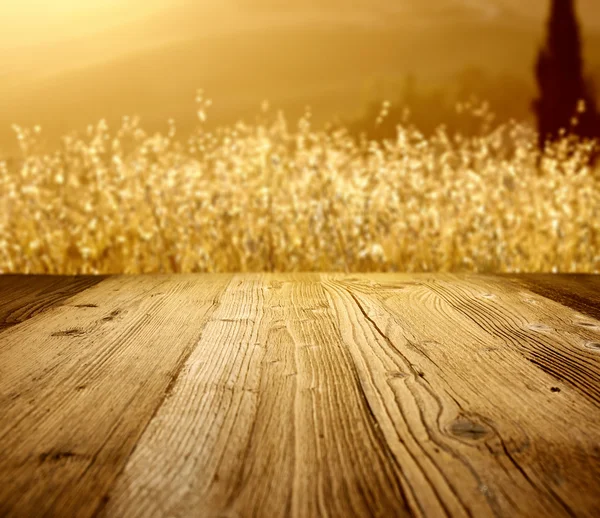 Wood backgrounds on the tuscany landscape — Stock Photo © zoomteam