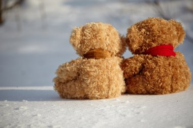 Oyuncak ayılar üzerinde bir kar her çevresinde