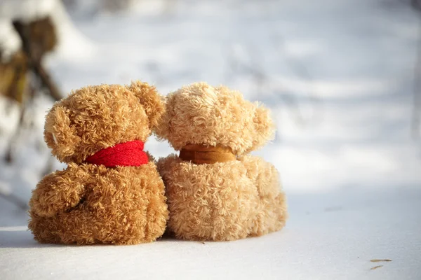 Ursos de pelúcia em uma neve em torno de cada — Fotografia de Stock