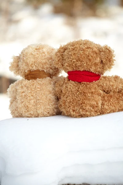 Teddyberen op een sneeuw rond elk — Stockfoto