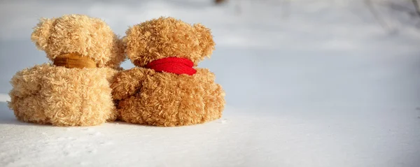 Teddybären auf einem Schnee um jeden — Stockfoto