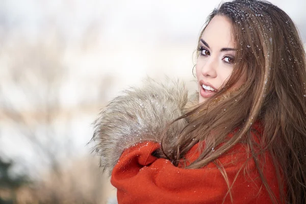 Schönes Frauenporträt im Winter — Stockfoto