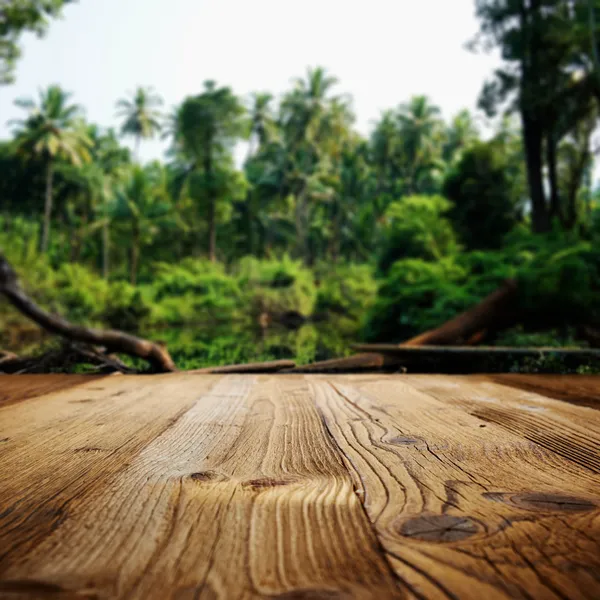 Fondos texturizados de madera en el paisaje de Goa — Foto de Stock