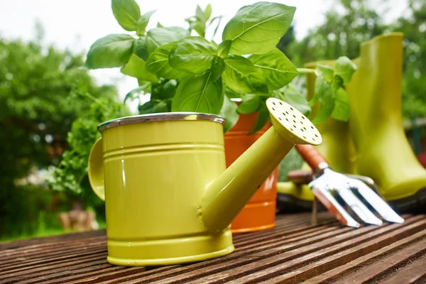 Herramientas de jardinería — Foto de Stock