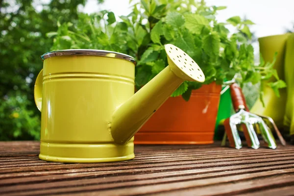 Herramientas de jardinería — Foto de Stock