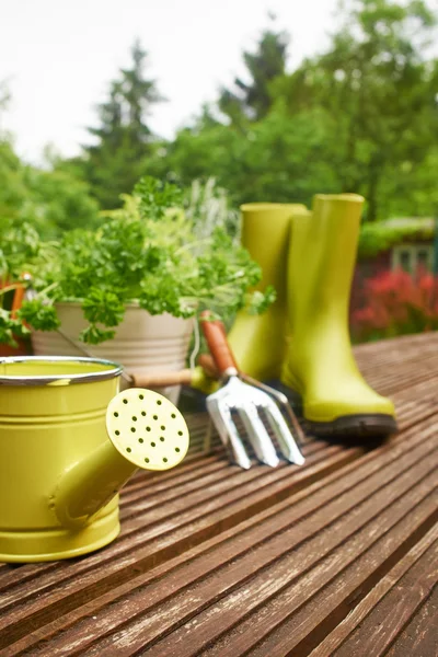 Gardening tools — Stock Photo, Image