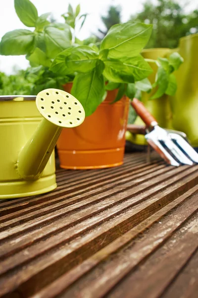 Gardening tools — Stock Photo, Image