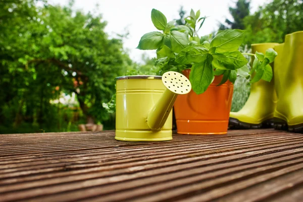 Herramientas de jardinería —  Fotos de Stock