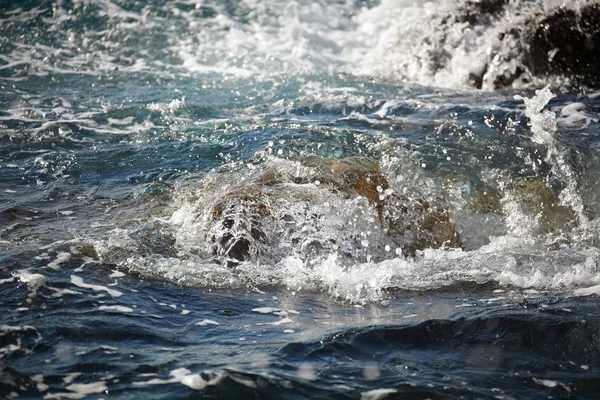 Sea rock is breaking powerful wave — Stock Photo, Image