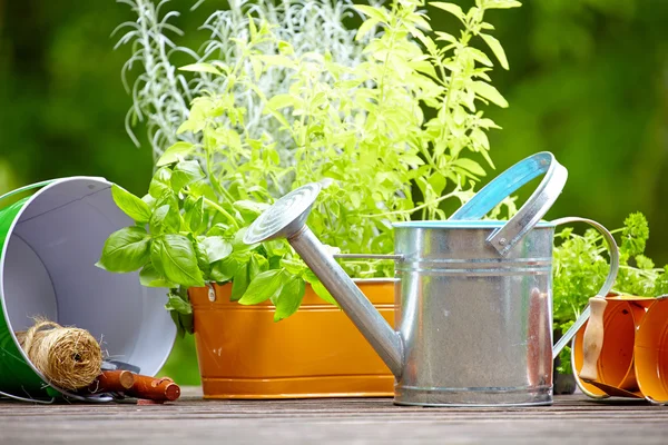 Gardening and hobby — Stock Photo, Image