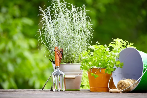 Trädgårdsskötsel och hobby — Stockfoto