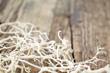 eski ahşap arka plan