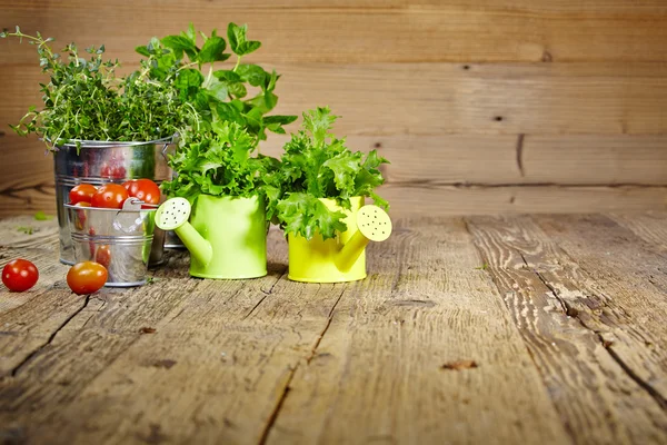 Mynta löv på träbord — Stockfoto