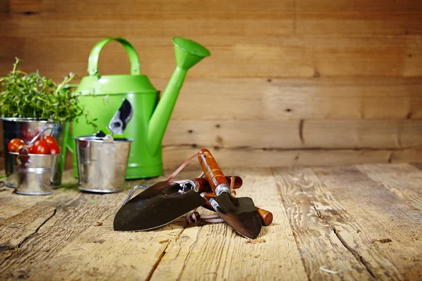 Gardening tools — Stock Photo, Image