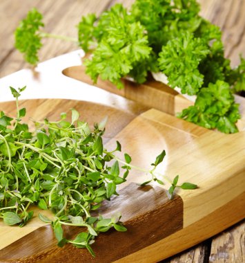 taze organik kesilerek kuzukulağı